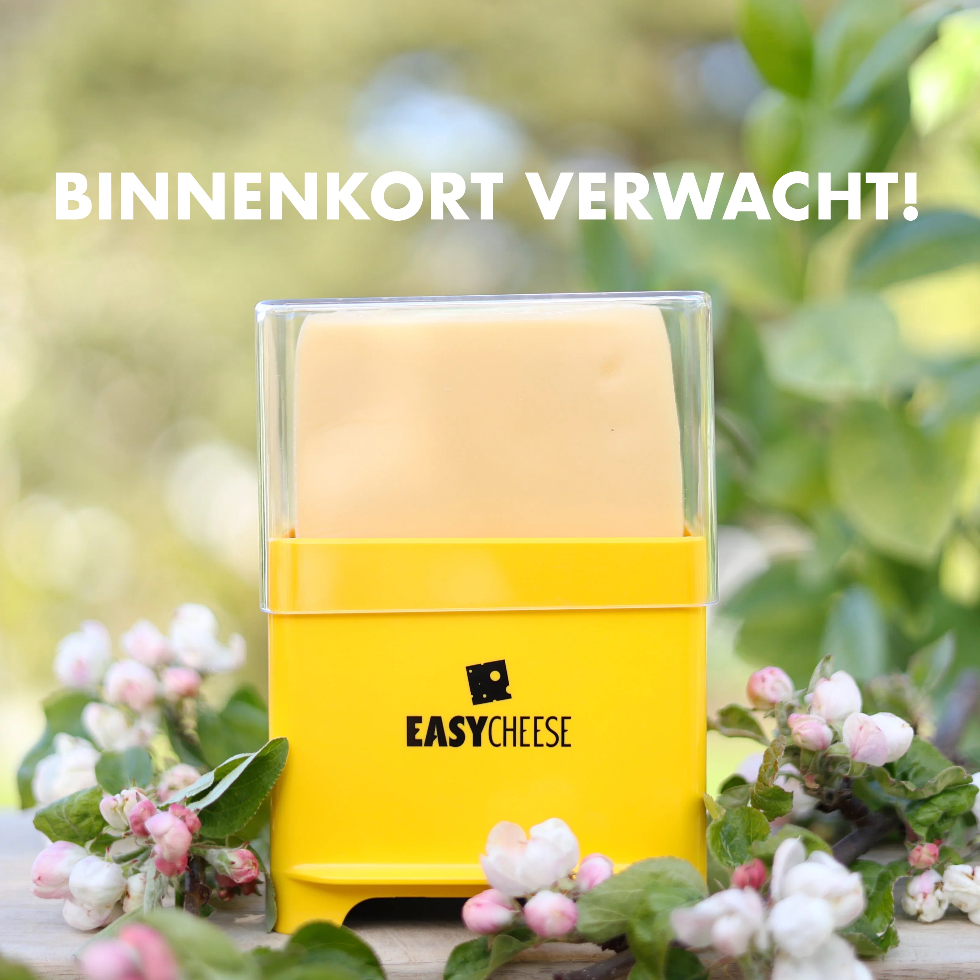 EasyCheese® Kaasdoos Original (kies kleur)